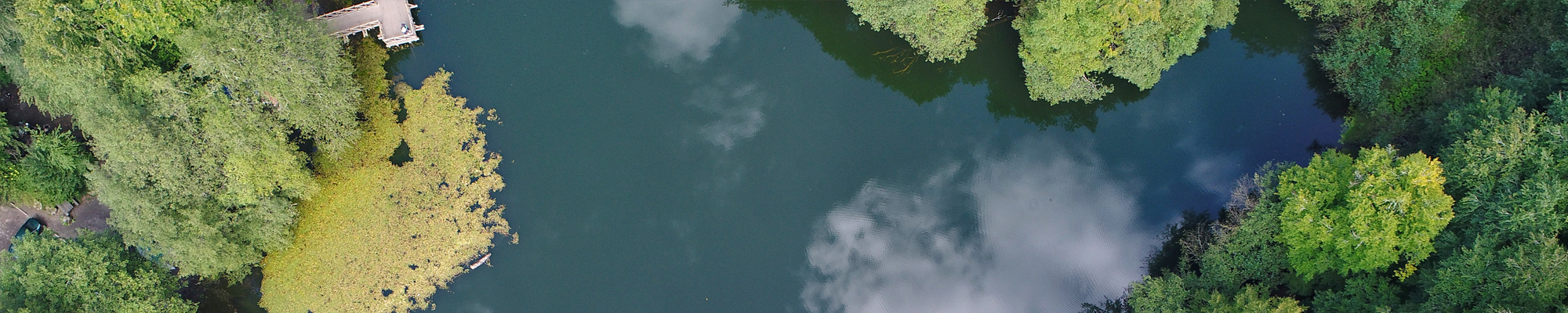 aerial view of dock on water with trees