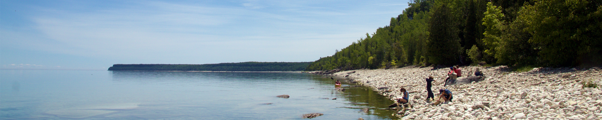 students collecting water samples